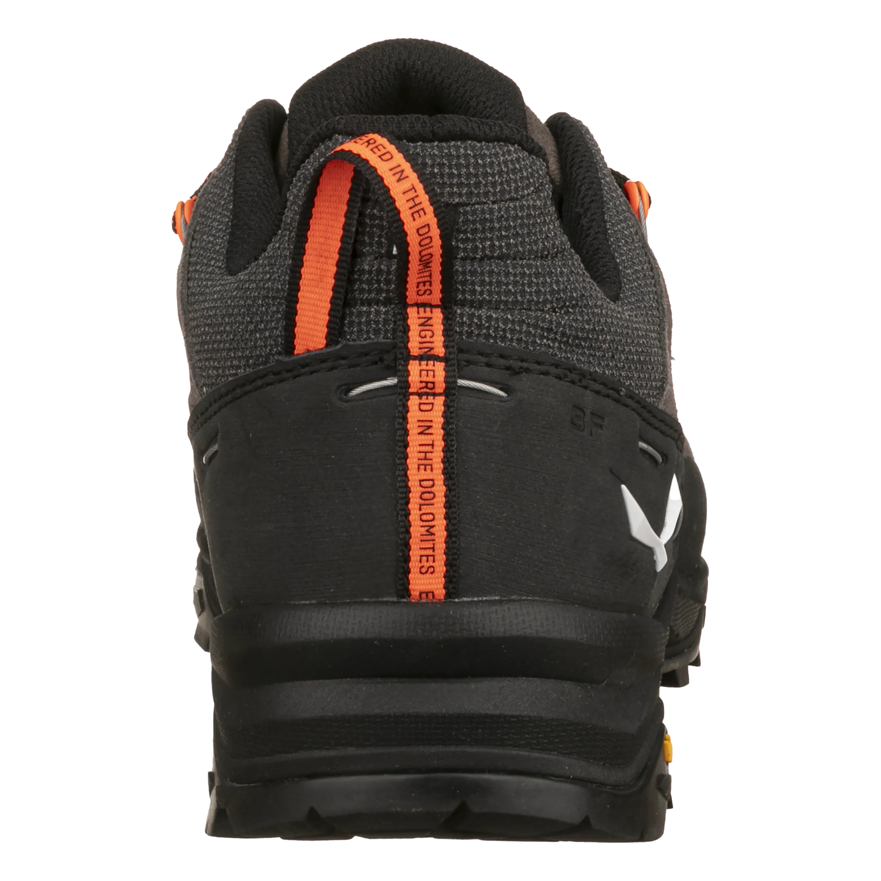 Alp Trainer 2 Shoe Men