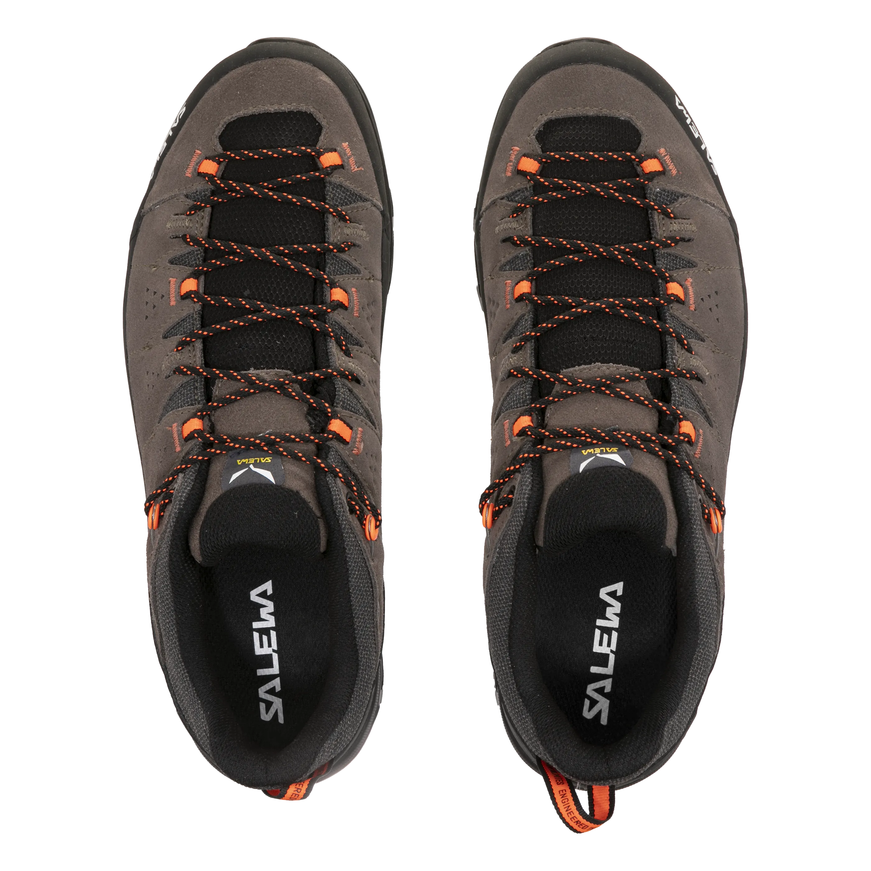 Alp Trainer 2 Shoe Men