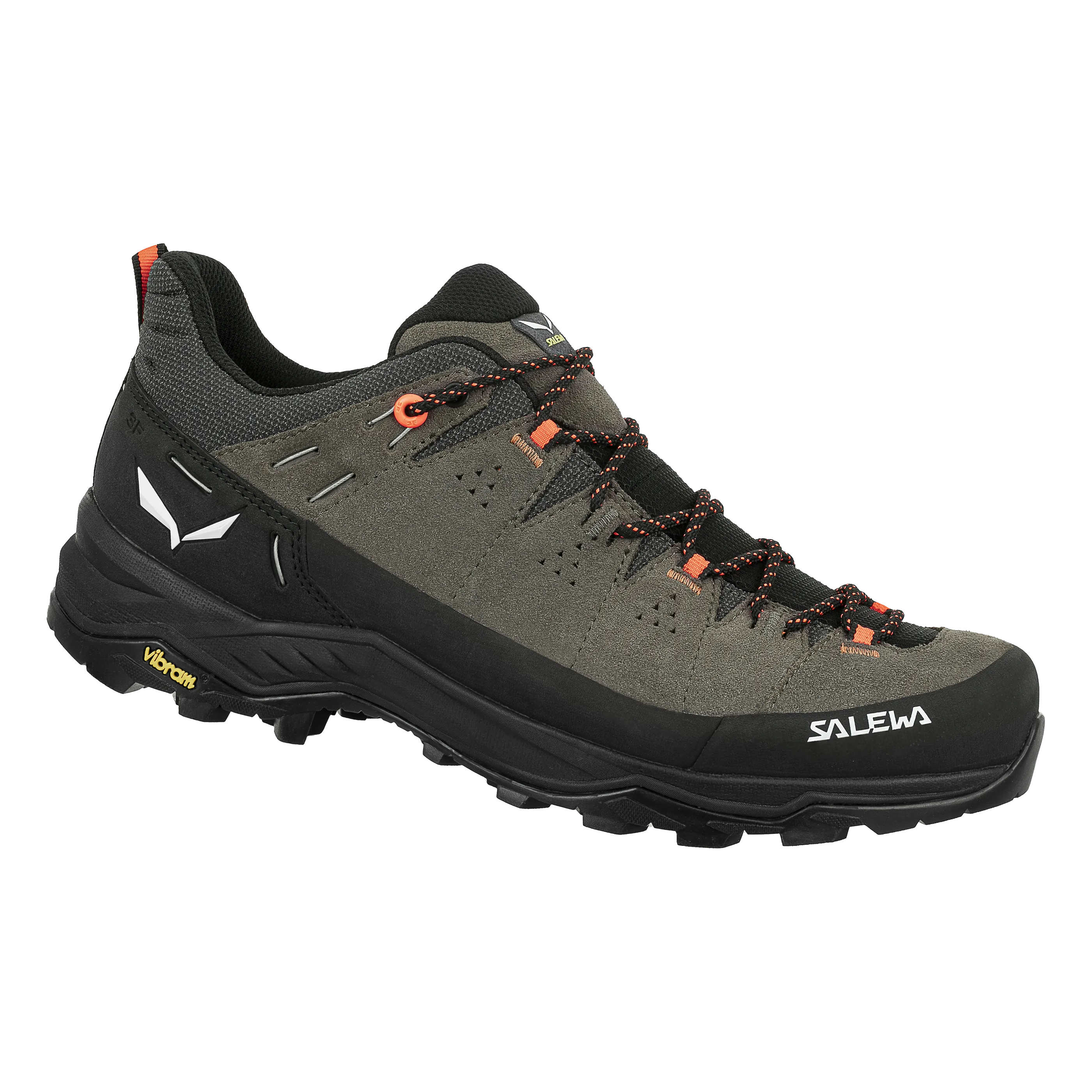 Alp Trainer 2 Shoe Men