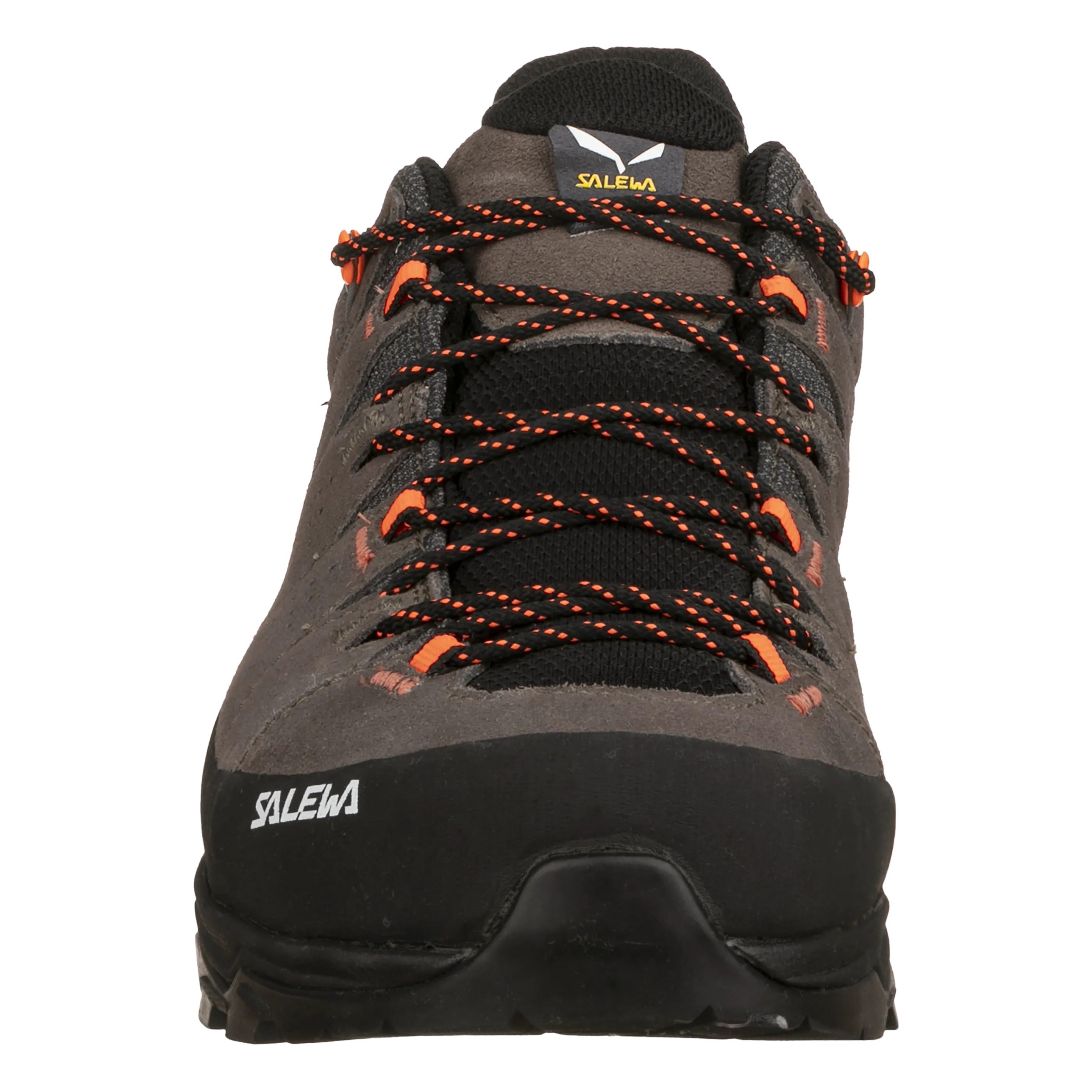 Alp Trainer 2 Shoe Men