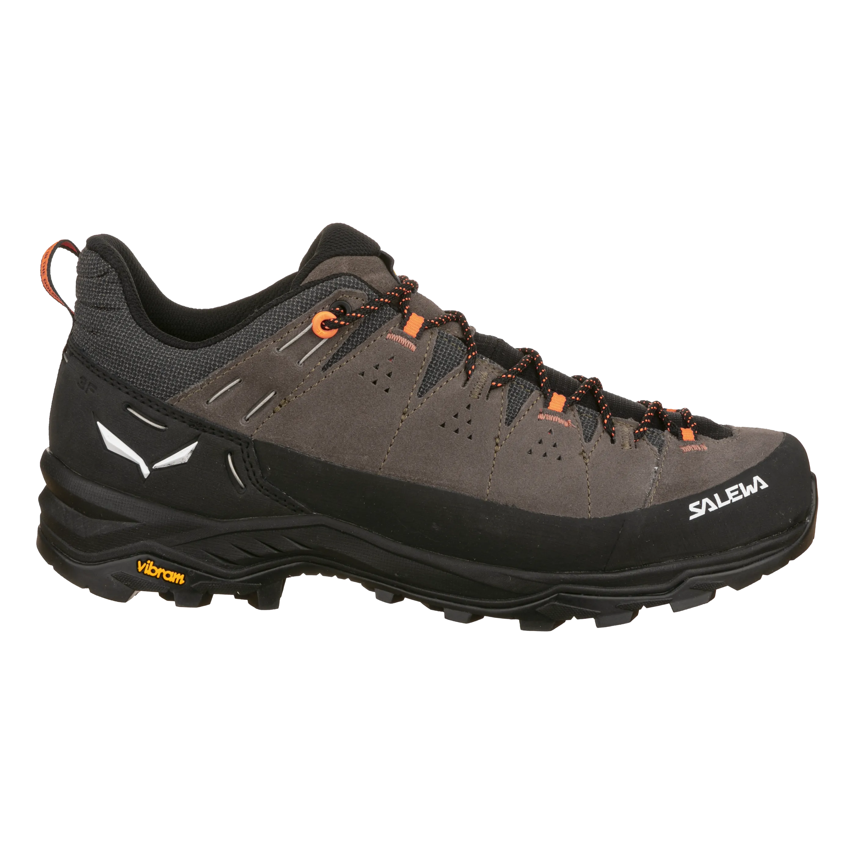 Alp Trainer 2 Shoe Men