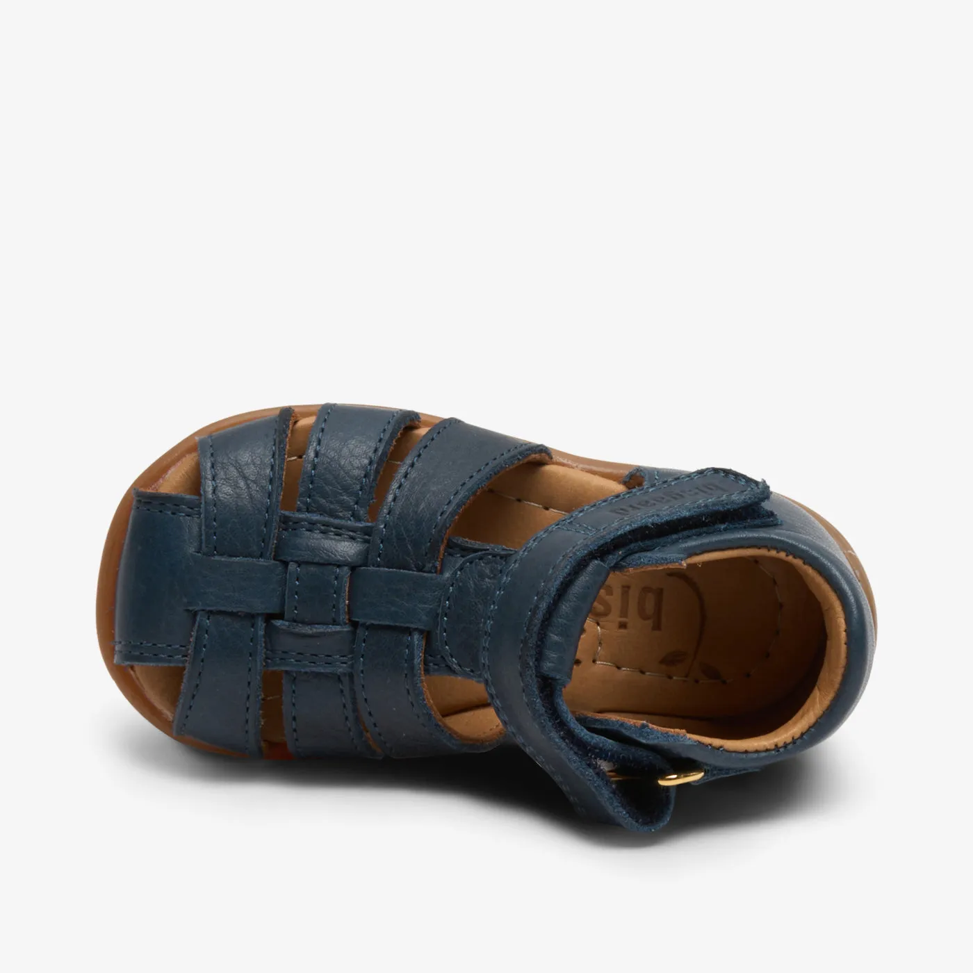 bisgaard carly navy