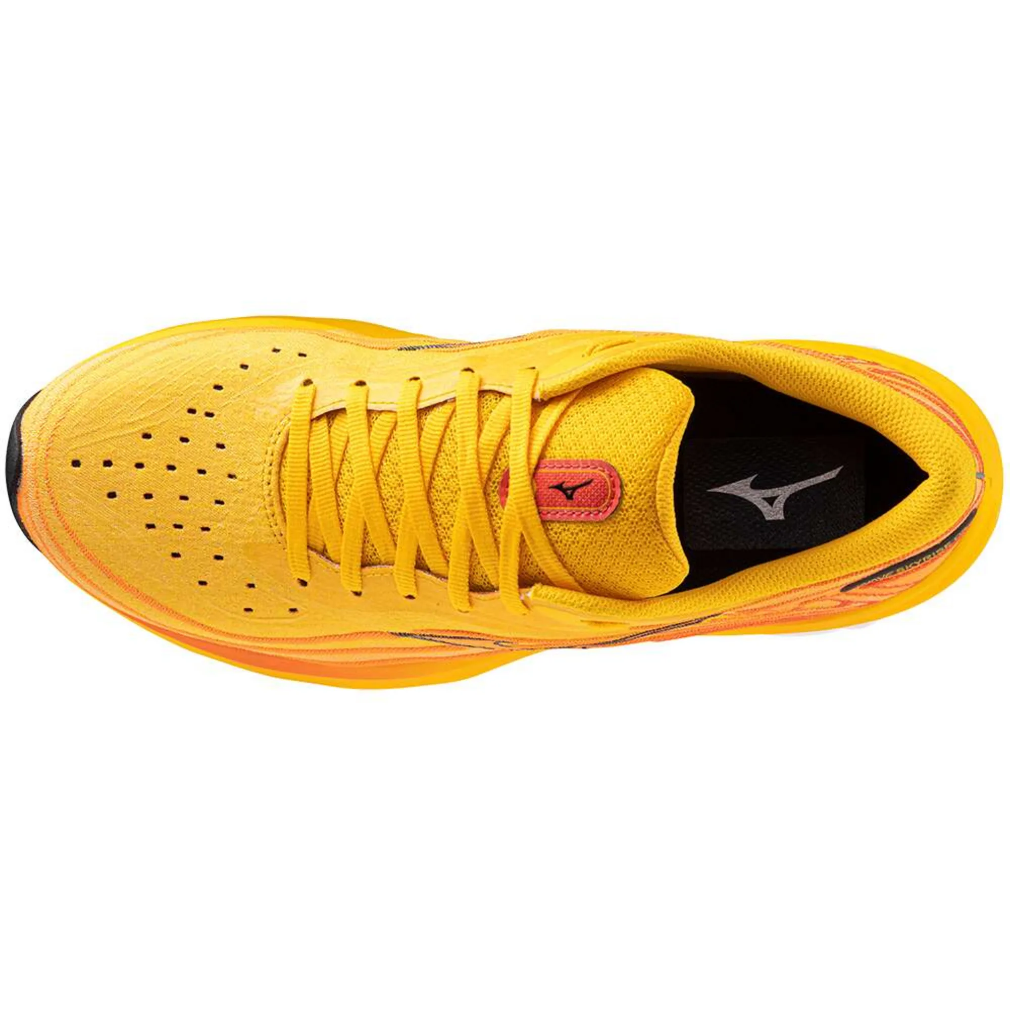 WAVE SKYRISE 5